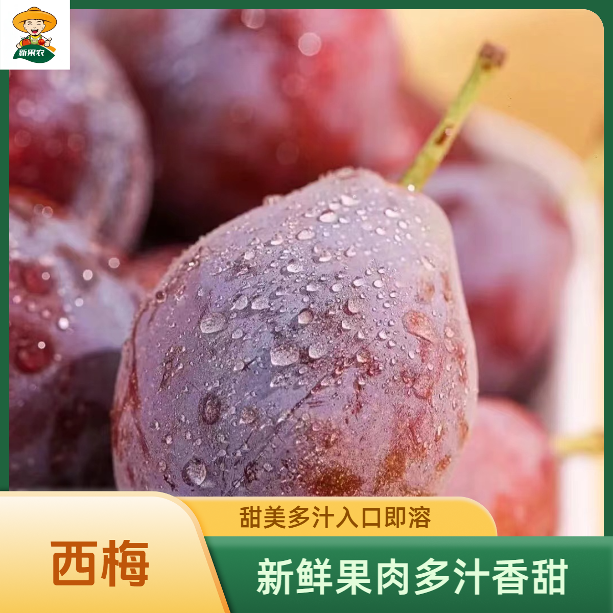 正宗法兰西西梅新大西梅纯甜无酸