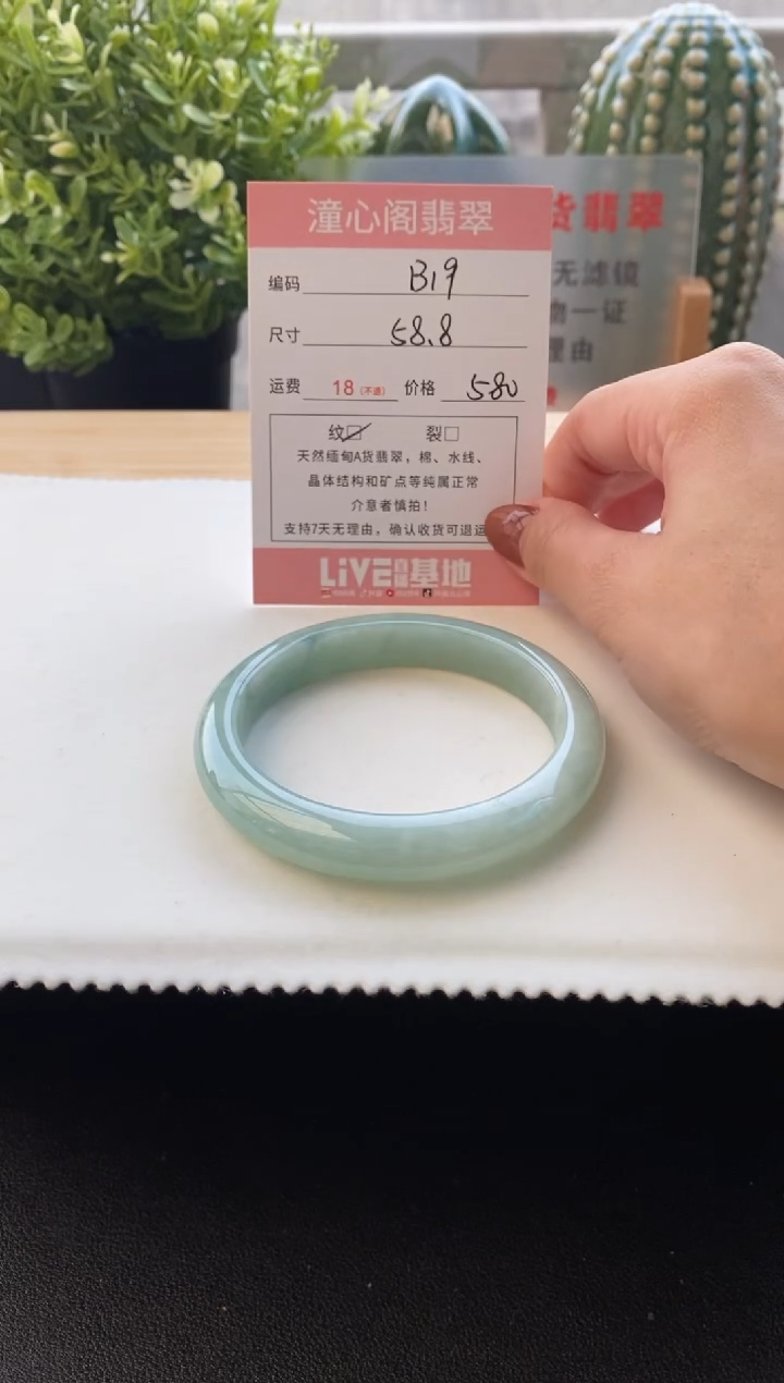 未镶嵌手镯翡翠58.8圈口 编码B19
