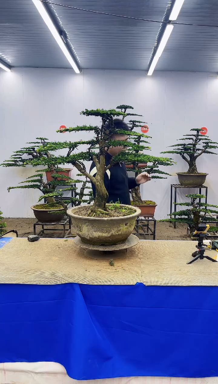 完全开放一物一拍，所见即所得