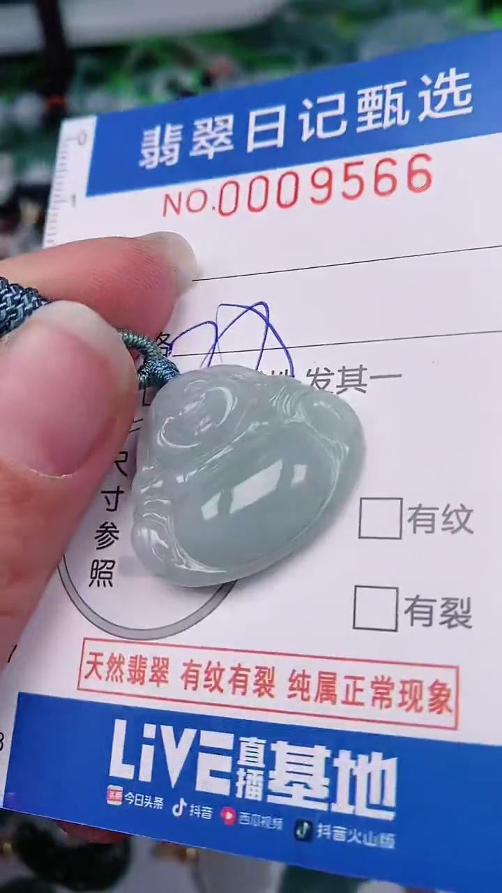 【闪购商品】翡翠颈饰未镶嵌00009566