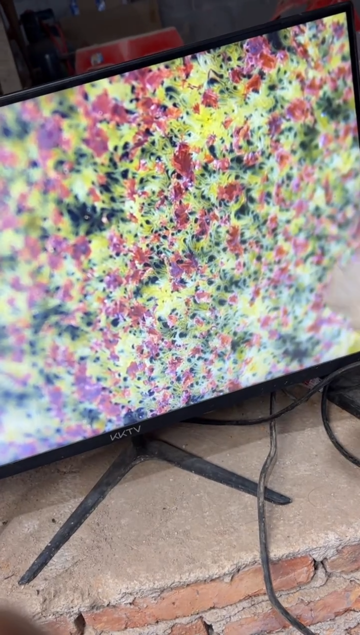 茶盏科研院院长杨飞燕16