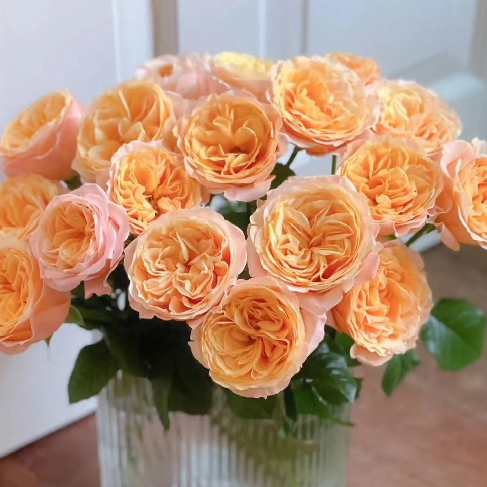 【入梦玫瑰】全场满2单顺丰包邮/1单默认发中通快递