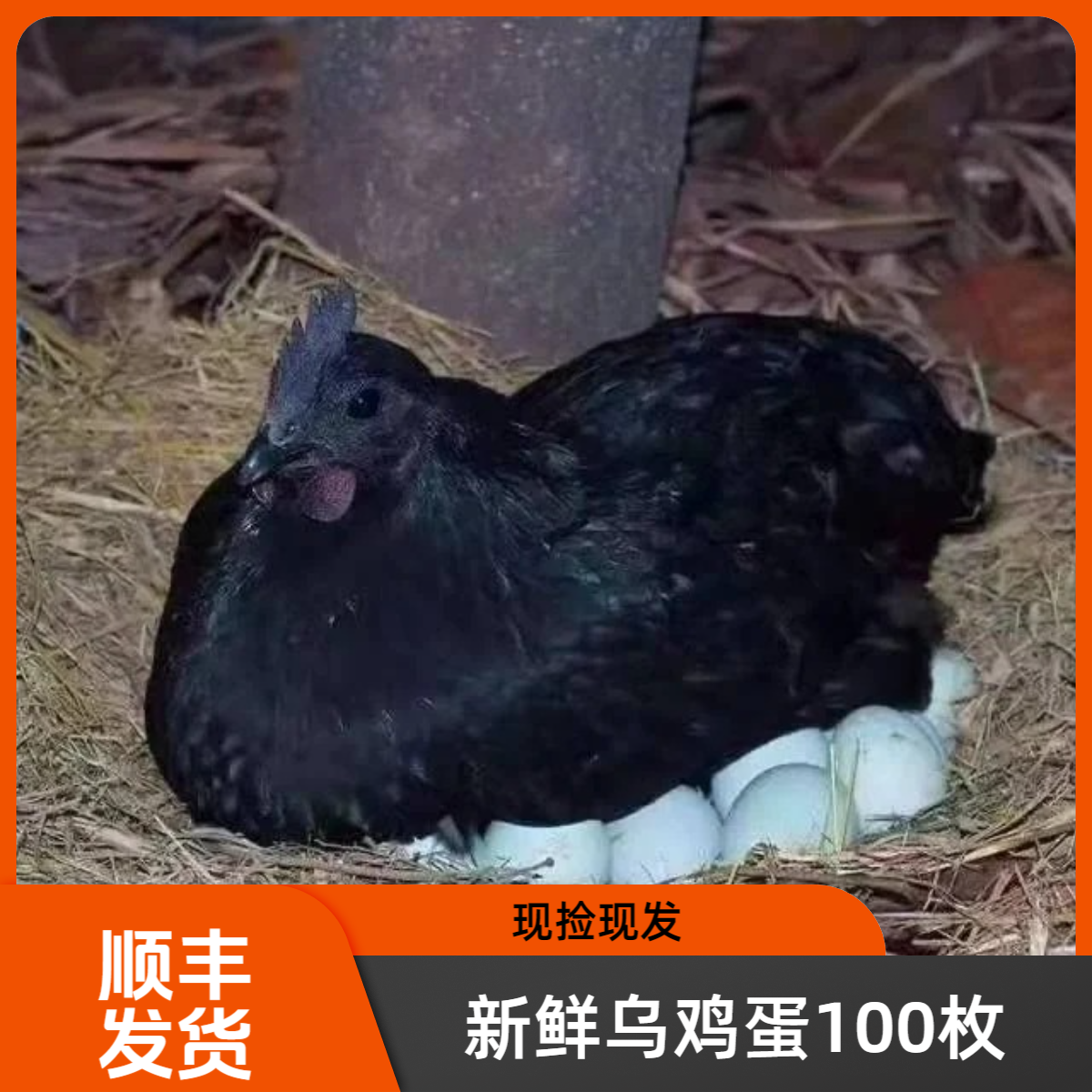 耀兰农场-自然循环li（乌鸡蛋100枚）礼盒包装