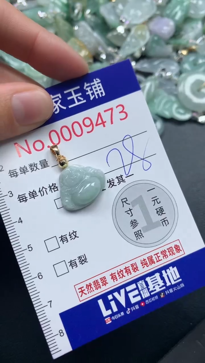 颈饰未镶嵌翡翠9473