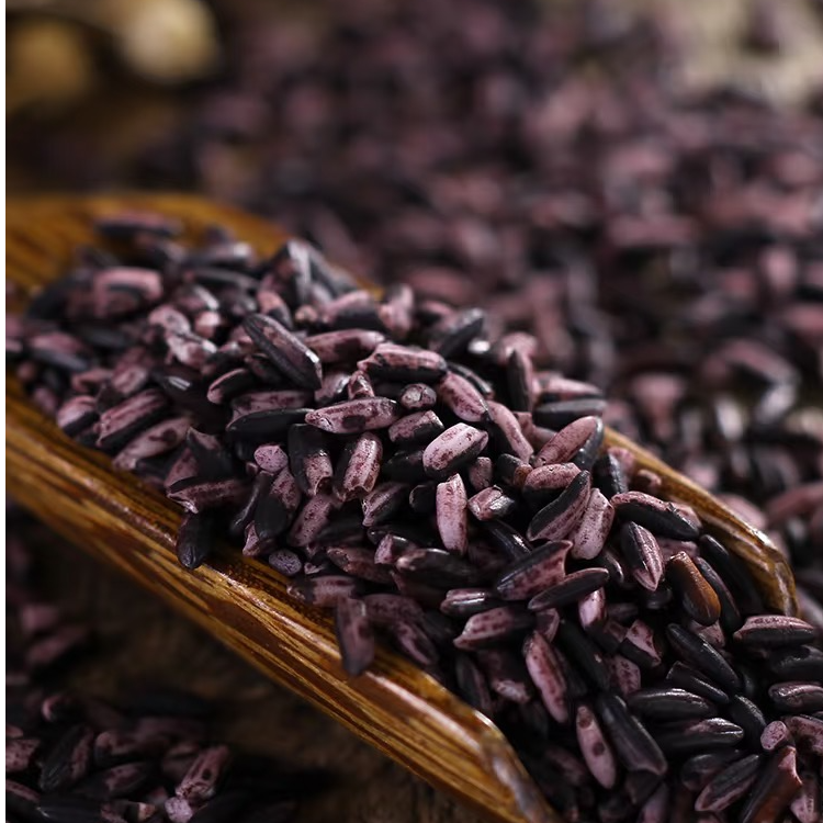 2025年新品贵州高山农家梯田紫米