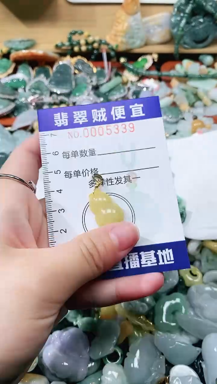 【闪购商品】翡翠颈饰未镶嵌闪购0005339