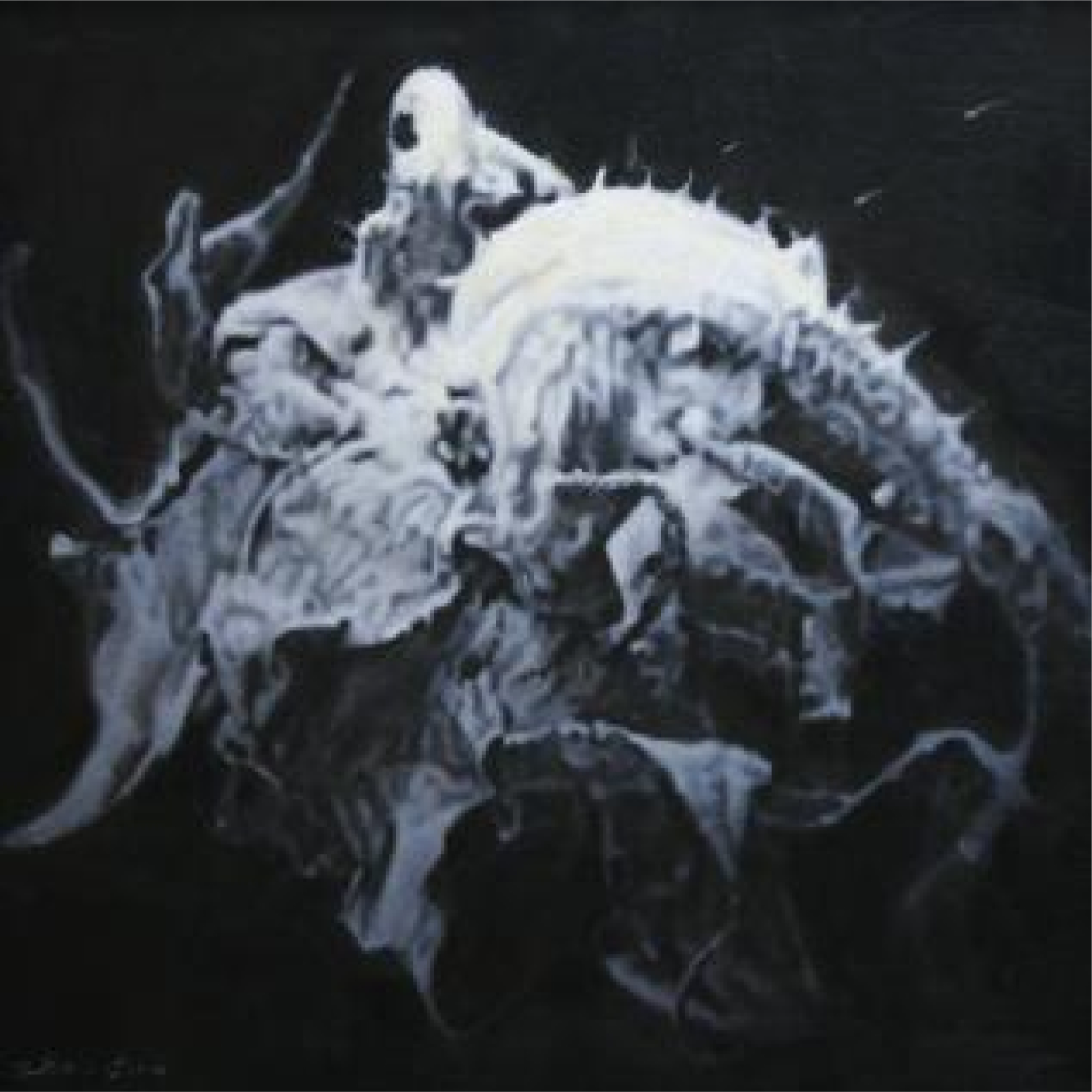 2001、赵军《葵魂No.3》，规格：50x50cm