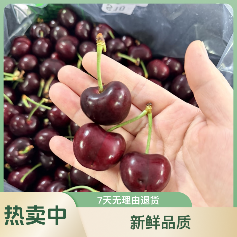海运桑提娜-车厘子-2J整箱（2.5kg）桑提娜樱桃智利共和国