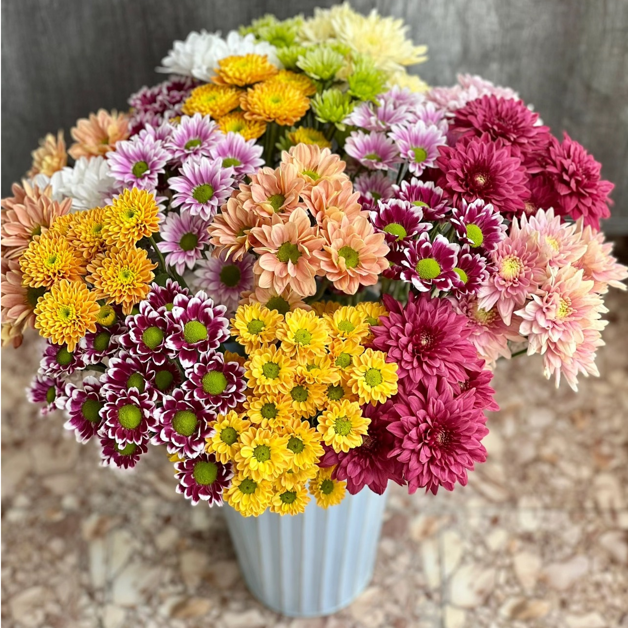 （混色）小雏菊鲜花东北发货顺丰包邮产地直发