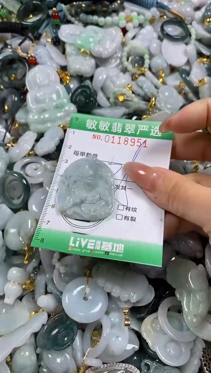 【闪购商品】翡翠颈饰未镶嵌闪购0118951