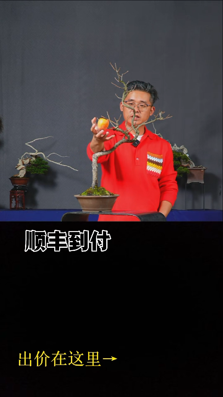 无花朵c018山柿bubaoyou