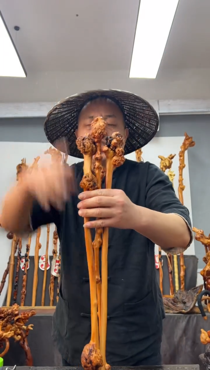 【闪购商品】黑果木其他黑果木556