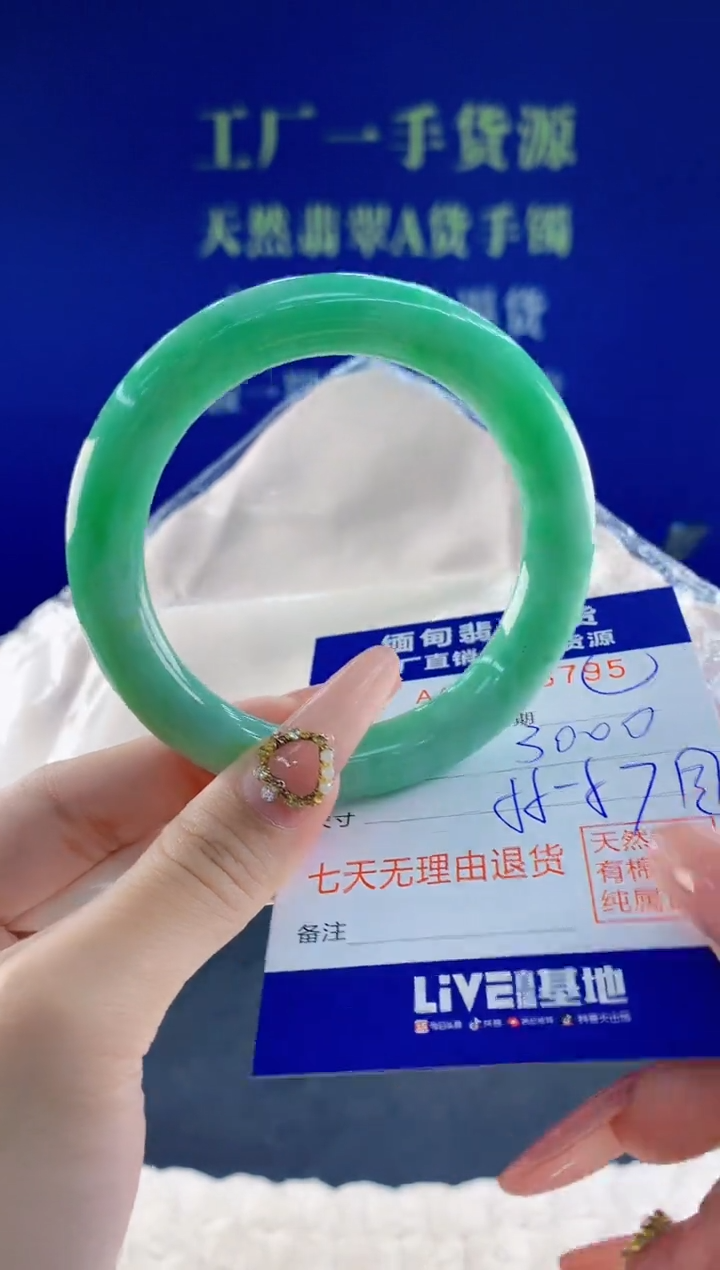 未镶嵌手镯翡翠95