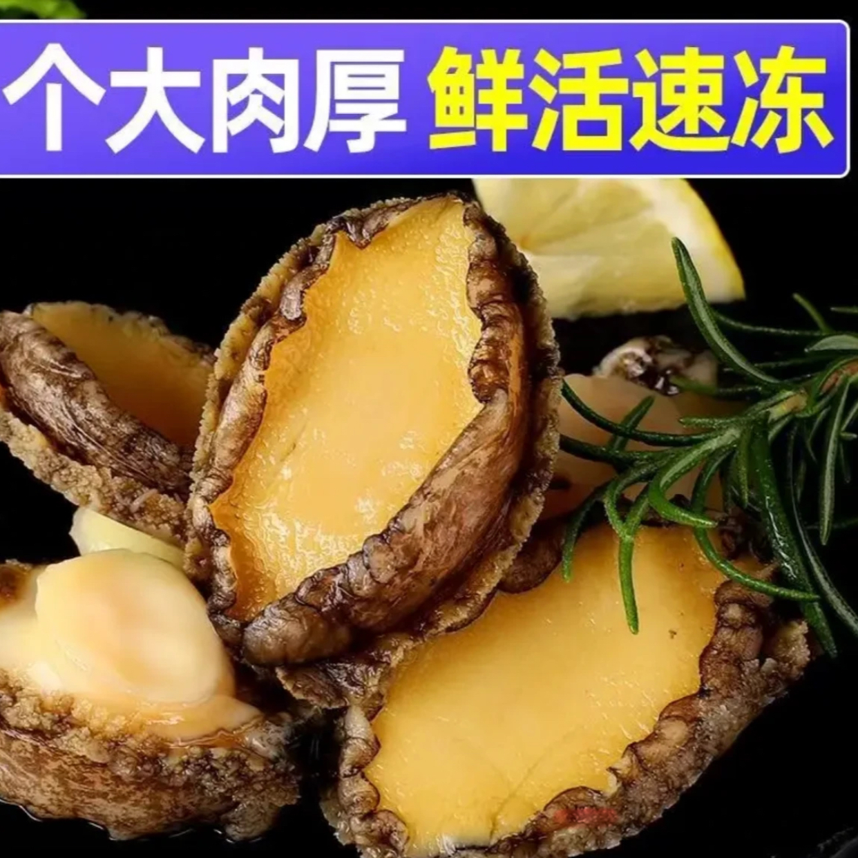 【20只】鲍鱼肉鲜活现剥大号5-6厘米去壳去内脏拍10只➕10只到手20只