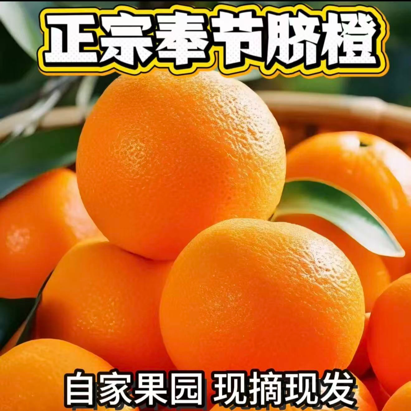 正宗奉节脐橙 现摘带枝叶 果园直发5/10斤酸甜可口 脆嫩化渣