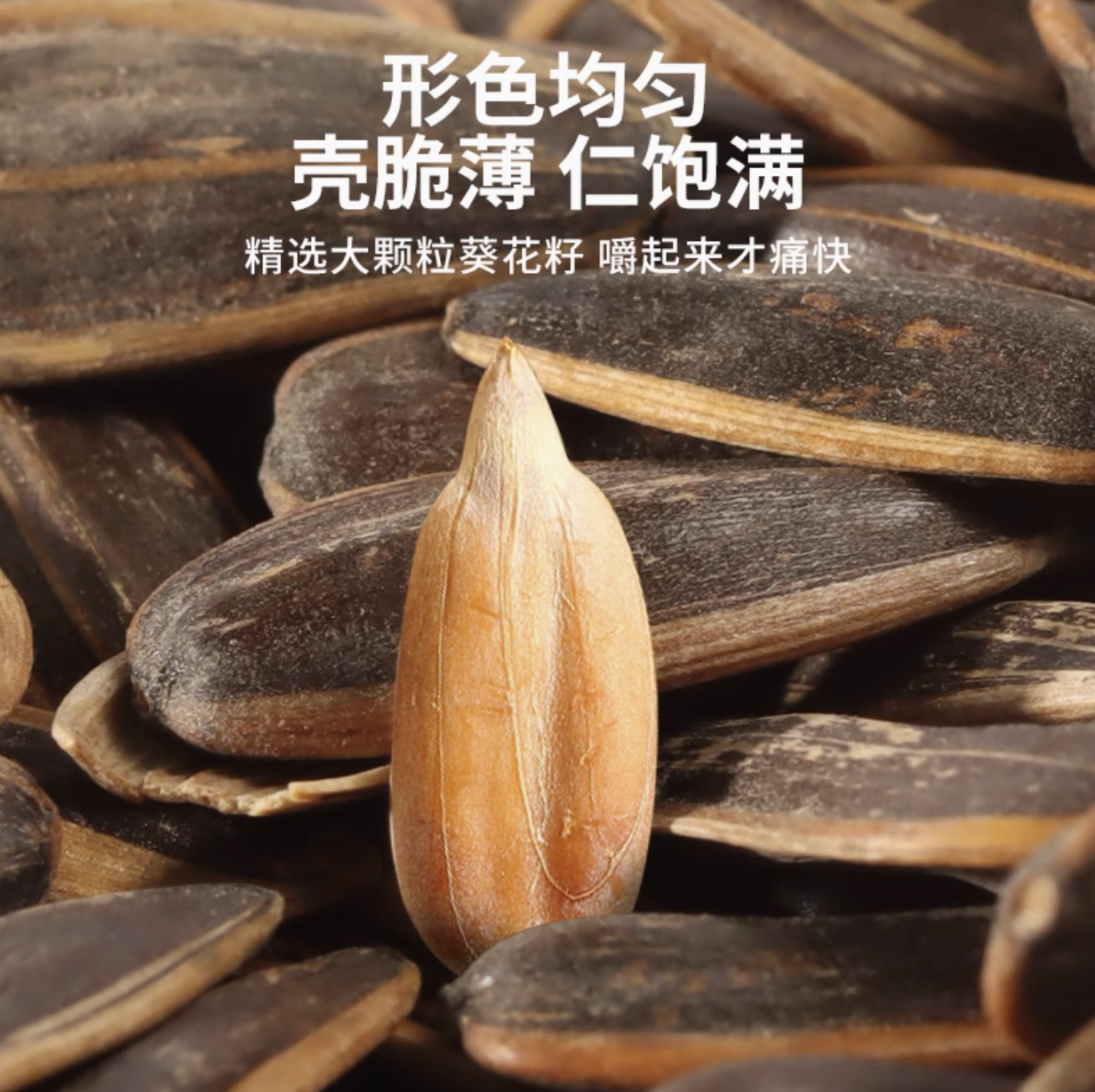 原味内蒙古大颗葵花籽坚果炒货零食（熟瓜子）买一斤送一斤