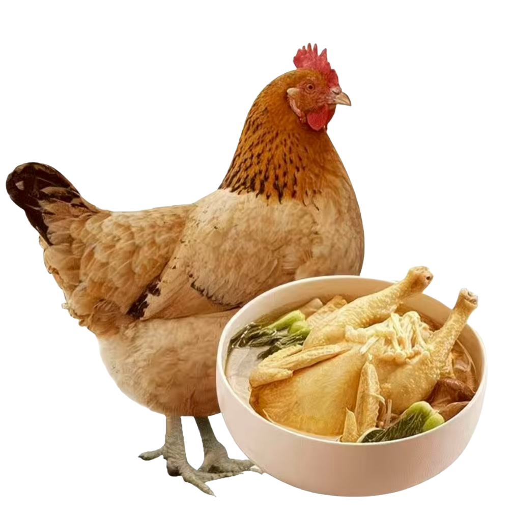 单只2斤正宗散养 麻羽绿壳土鸡 整鸡肉质鲜美包邮到家