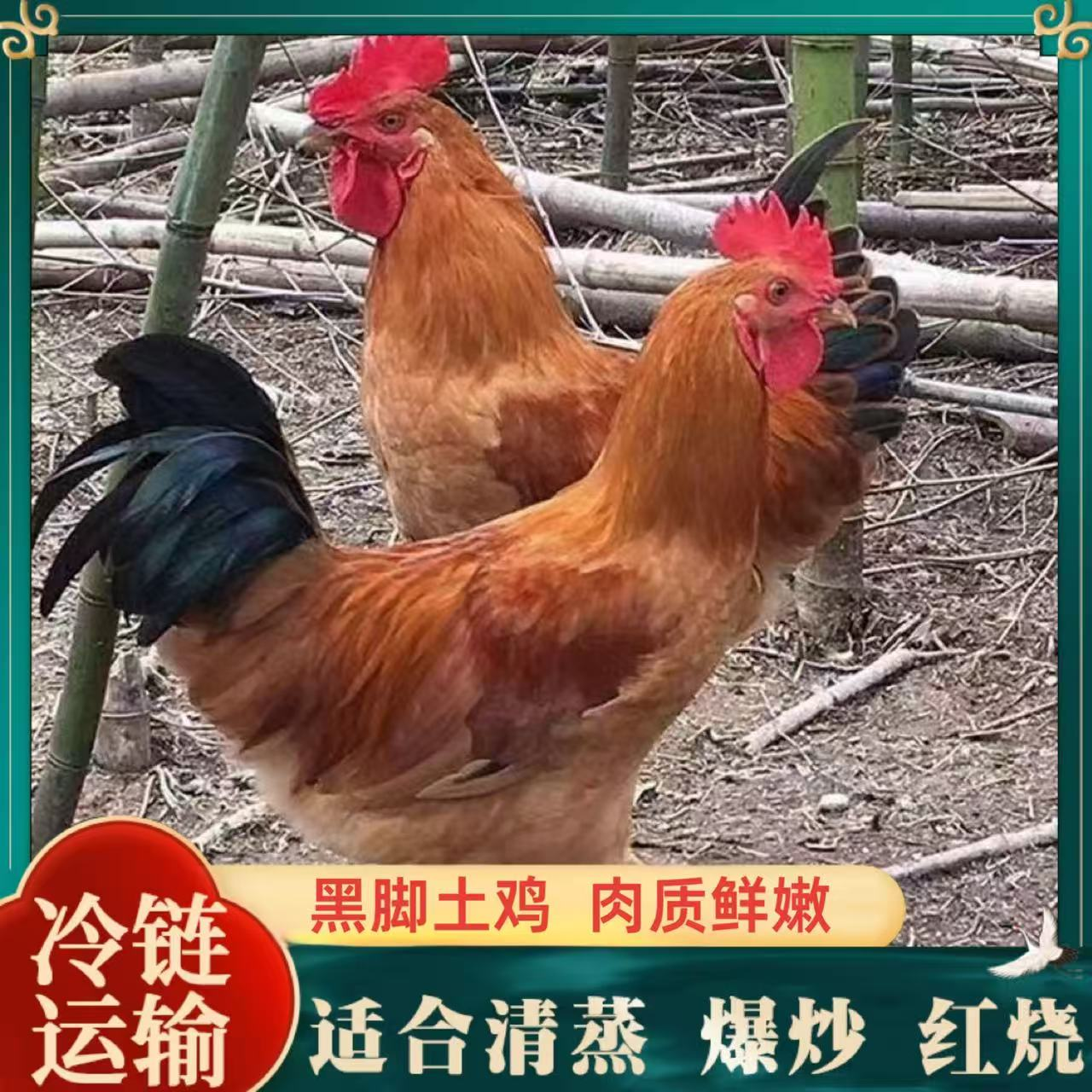 【山里人】放养黑脚土鸡 买三送二 到手共5只净重10斤