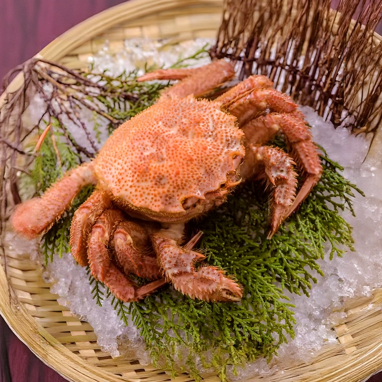 深海毛蟹  现场称体重 东三省包邮
