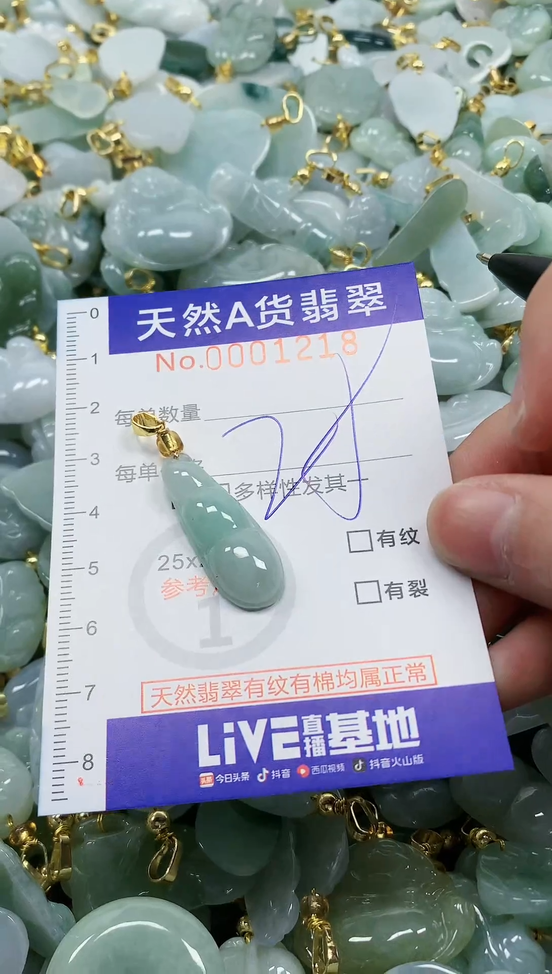 颈饰未镶嵌翡翠纯天然a货翡翠