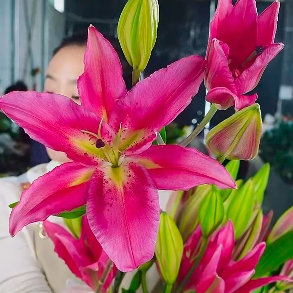 【基地直发】蜜桃 香水百合 鲜花花卉