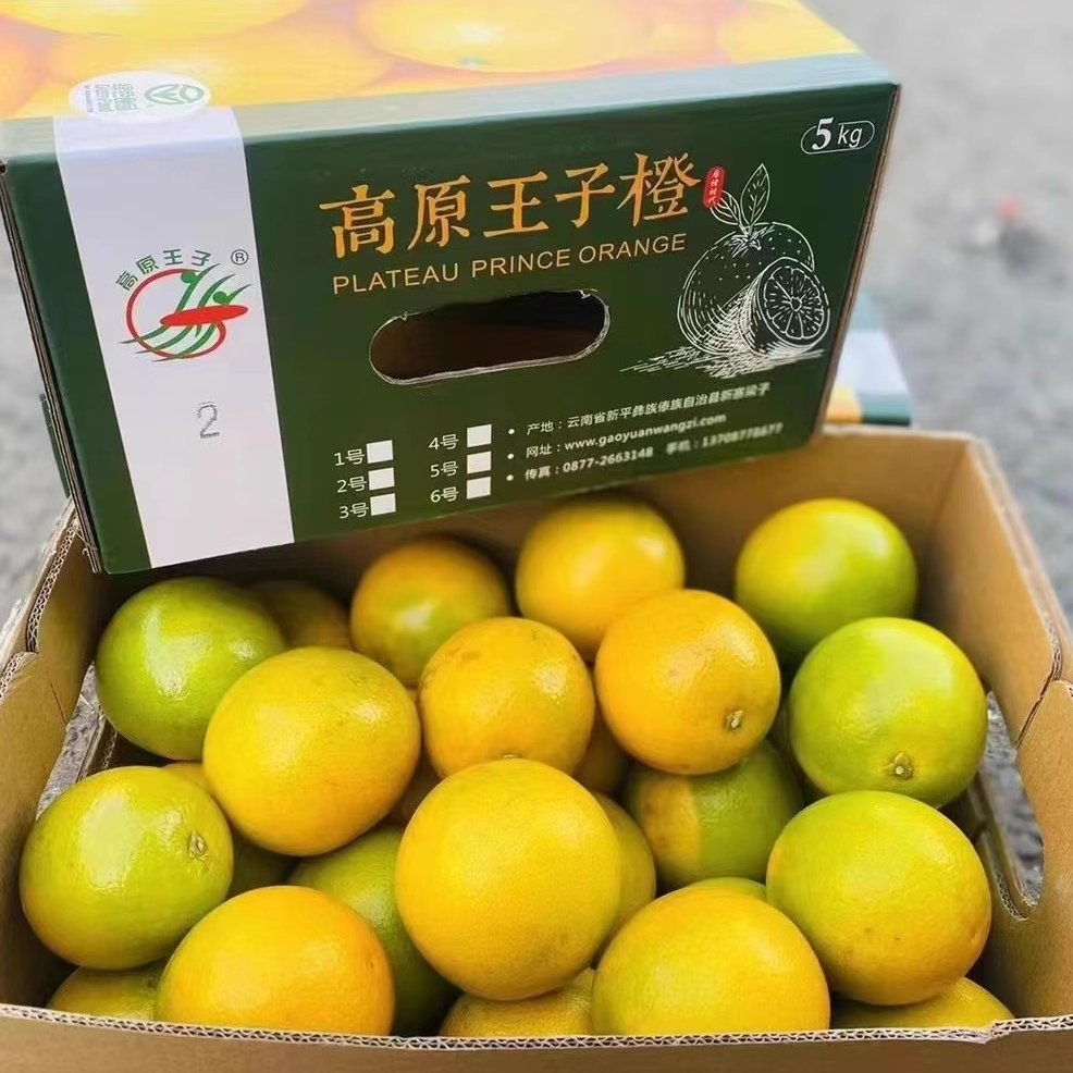 【高原王子橙】净重10斤 云南玉溪冰糖橙特级果哀牢山时令新鲜水果云南省