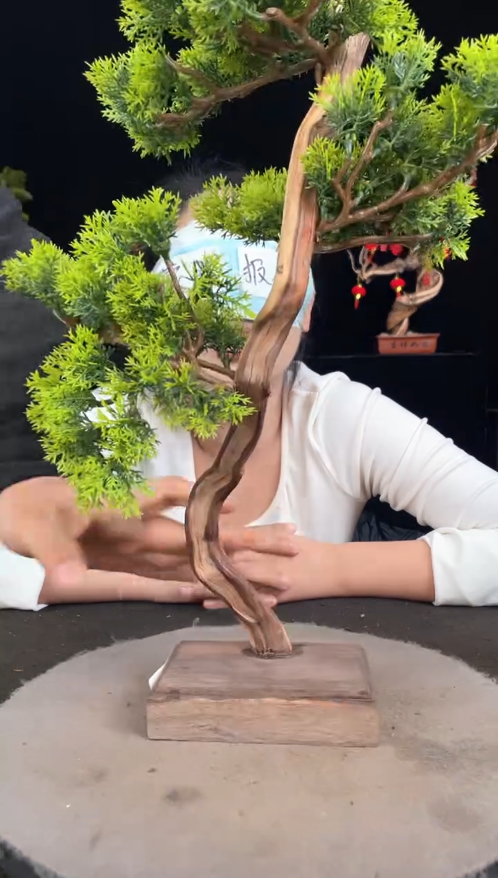 【闪购商品】柏木（崖柏）其他手工摆件,先抢先得!