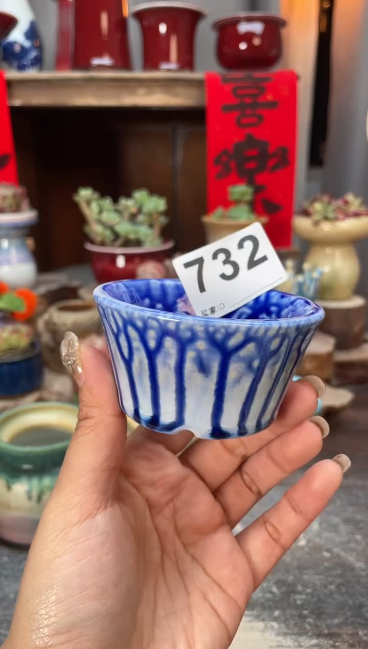 【闪购商品】摆件732知木小芳花盆