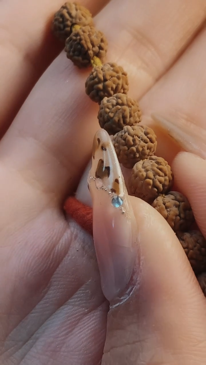 【闪购商品】金刚菩提手串690葛地利一代龙108