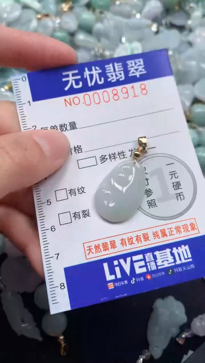 颈饰未镶嵌翡翠8918