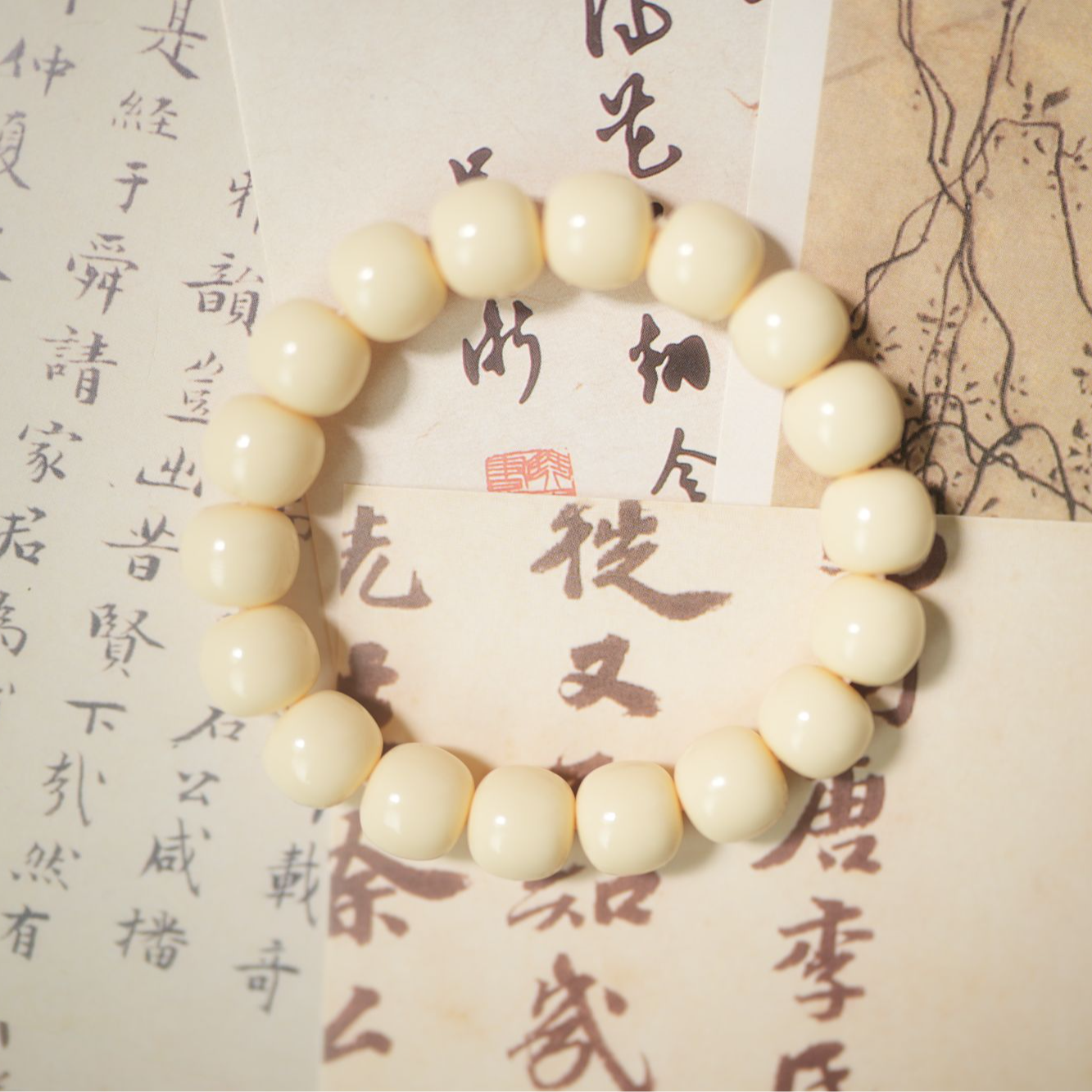 象牙果象牙果老型12*11