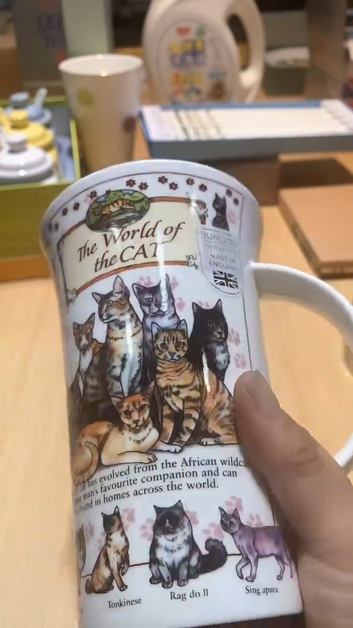 【闪购商品】瓷片锅碗瓢盆一件不剩