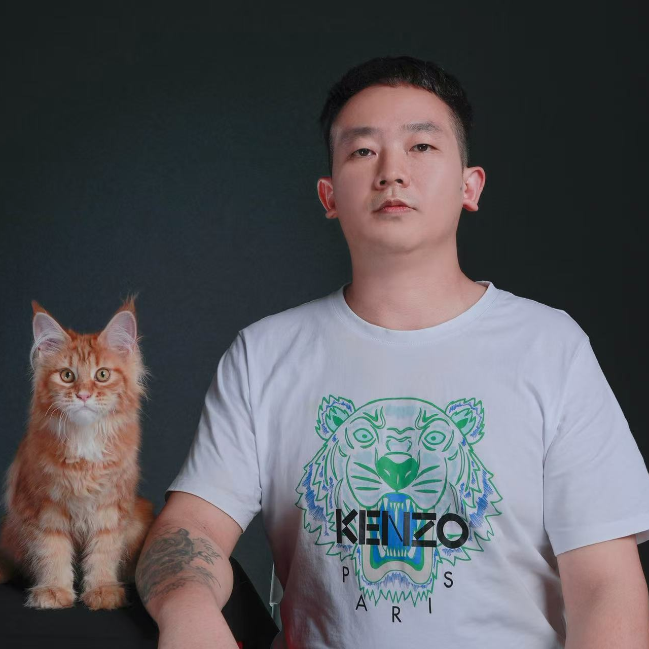 深圳 汉武弟缅因猫舍 （全色系缅因现货发售）