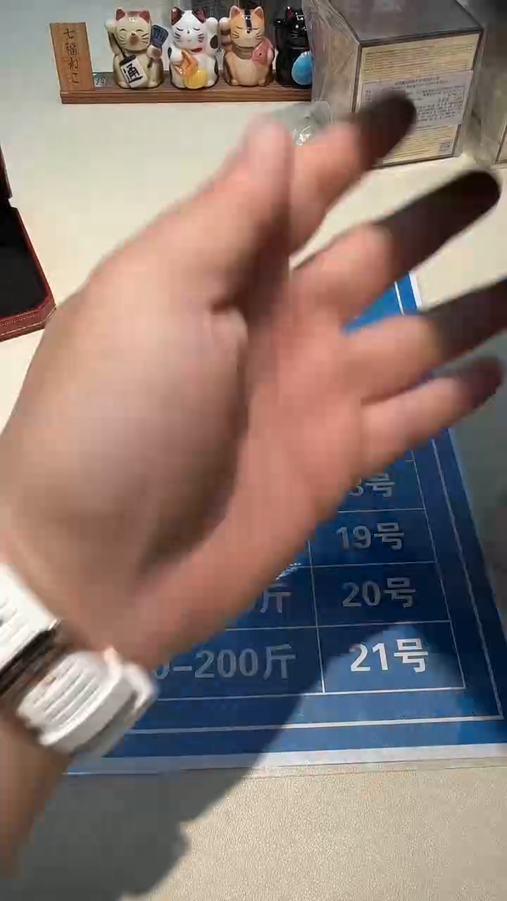 瓷片瓷器都是大宝贝儿瓷器都是大漂亮972