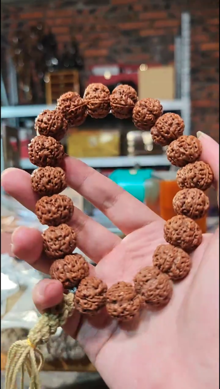 胡桃木    大金刚