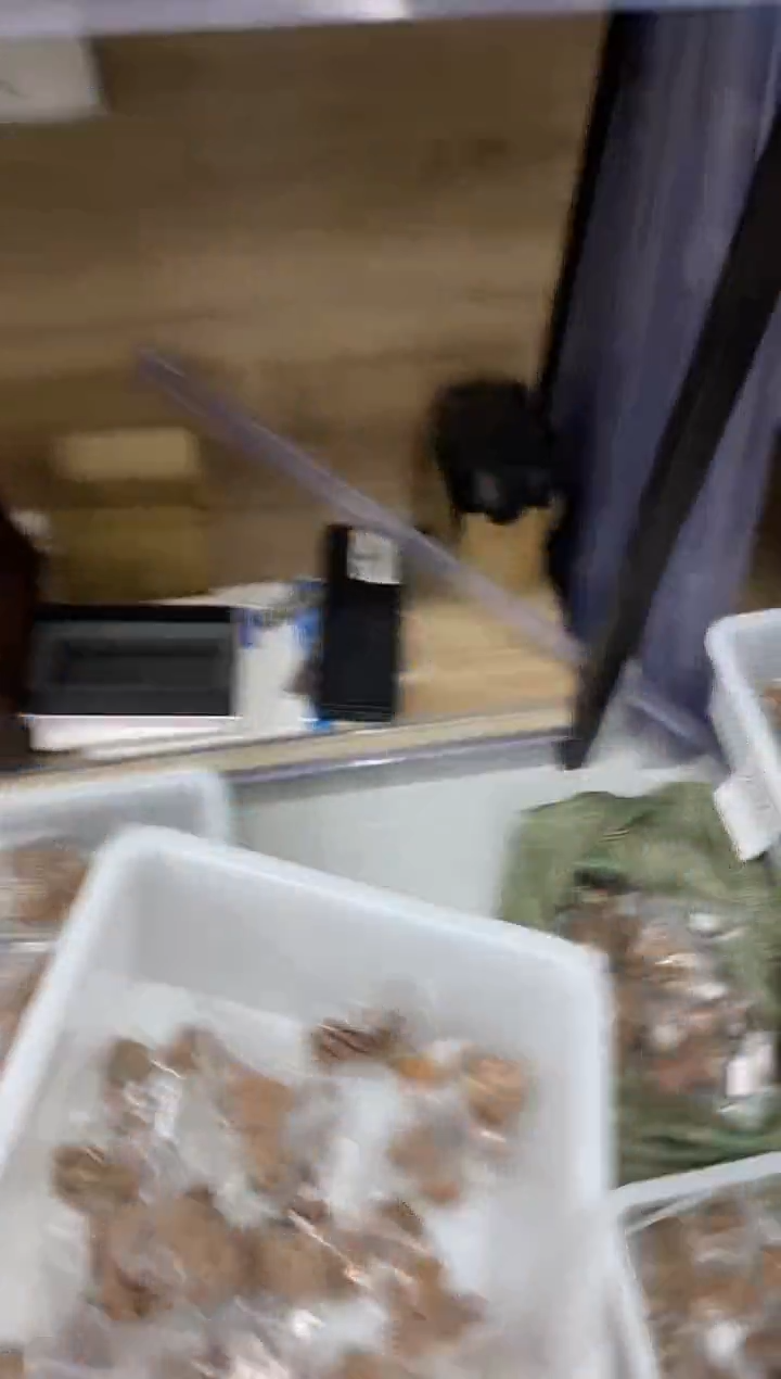 核桃【霞云岭狮子头】