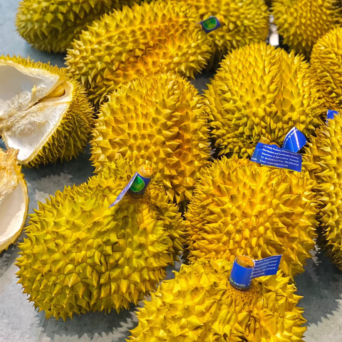 榴莲小时达鲜榴莲（5.58斤）金枕核小金枕泰国
