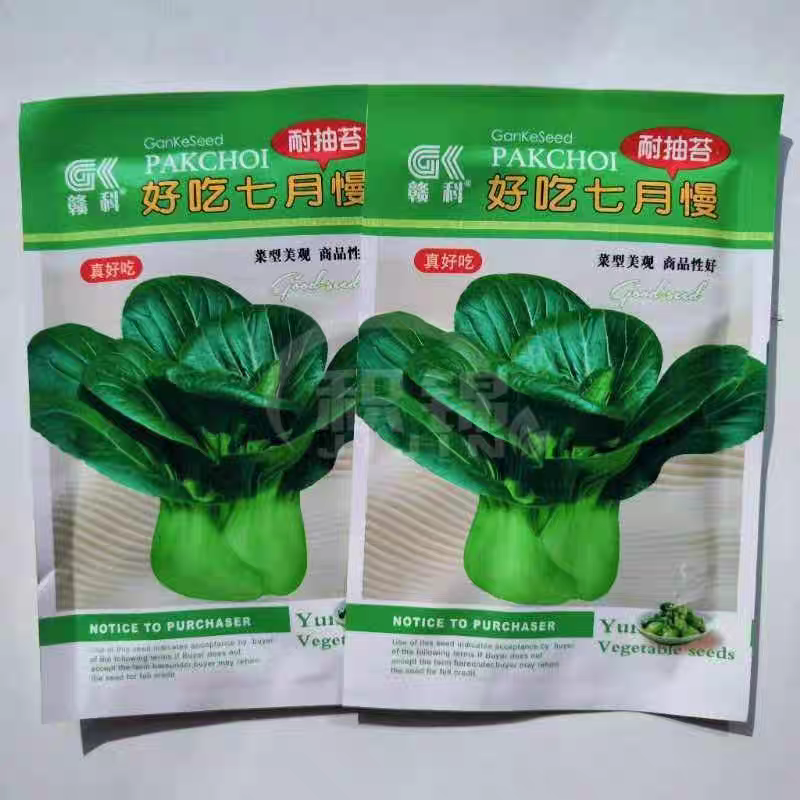 七月慢青菜种子优质高产耐抽苔抗病适合春秋播种