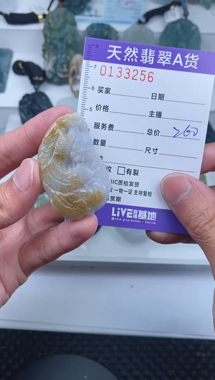 【闪购商品】翡翠颈饰未镶嵌       256