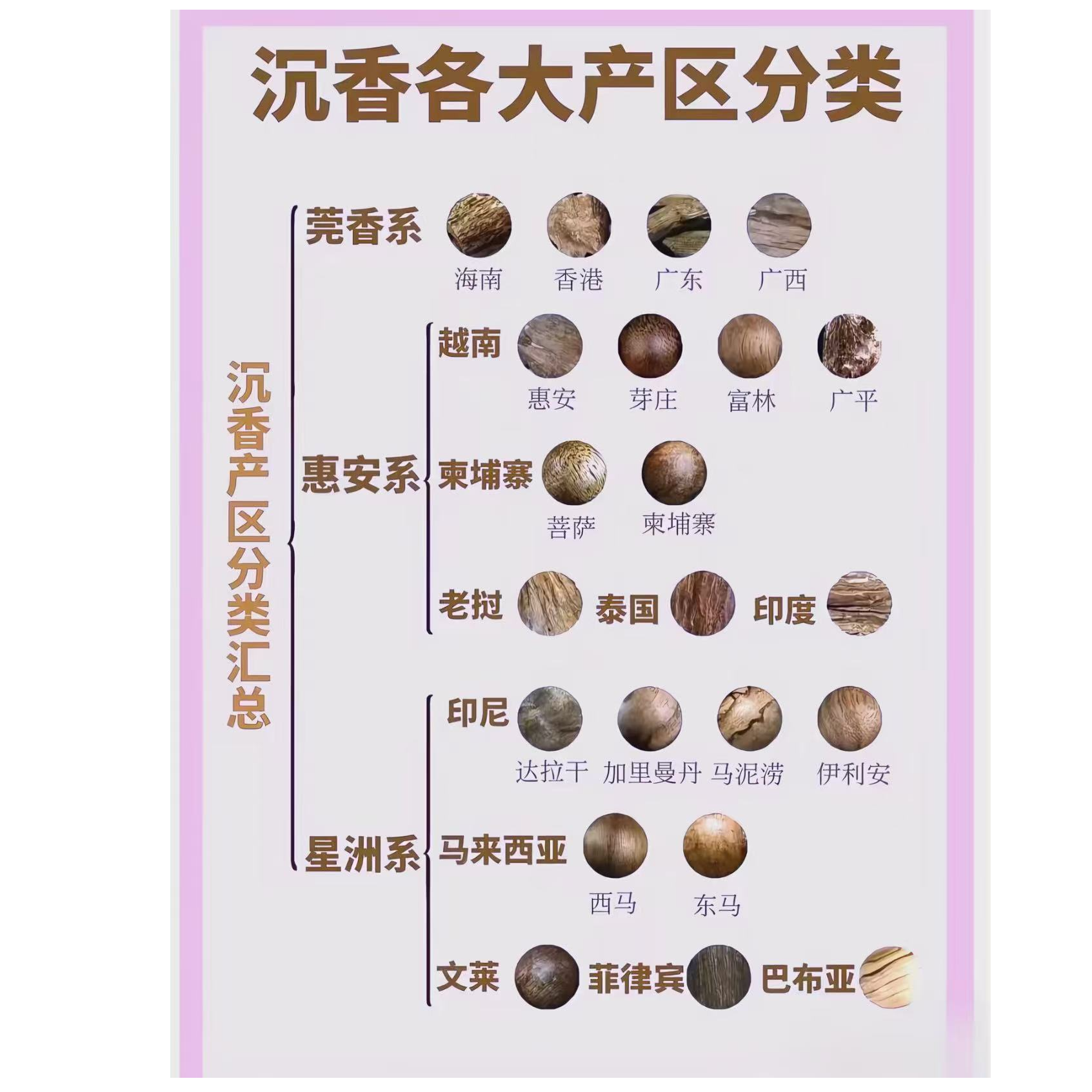 沉香蚁王--精品精选好物01