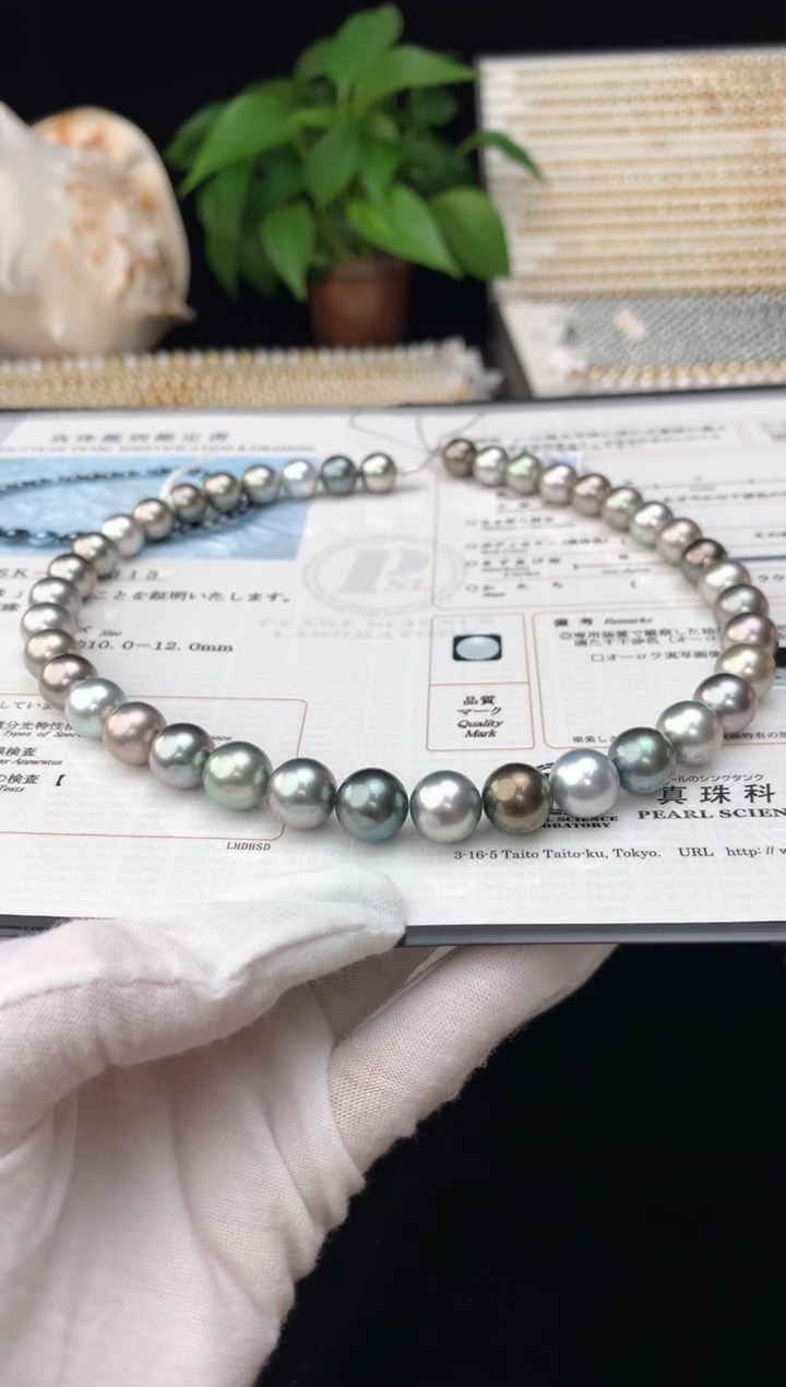 【闪购商品】海水珍珠颈饰银S925镶嵌海水大溪地珍珠项链10-12mm