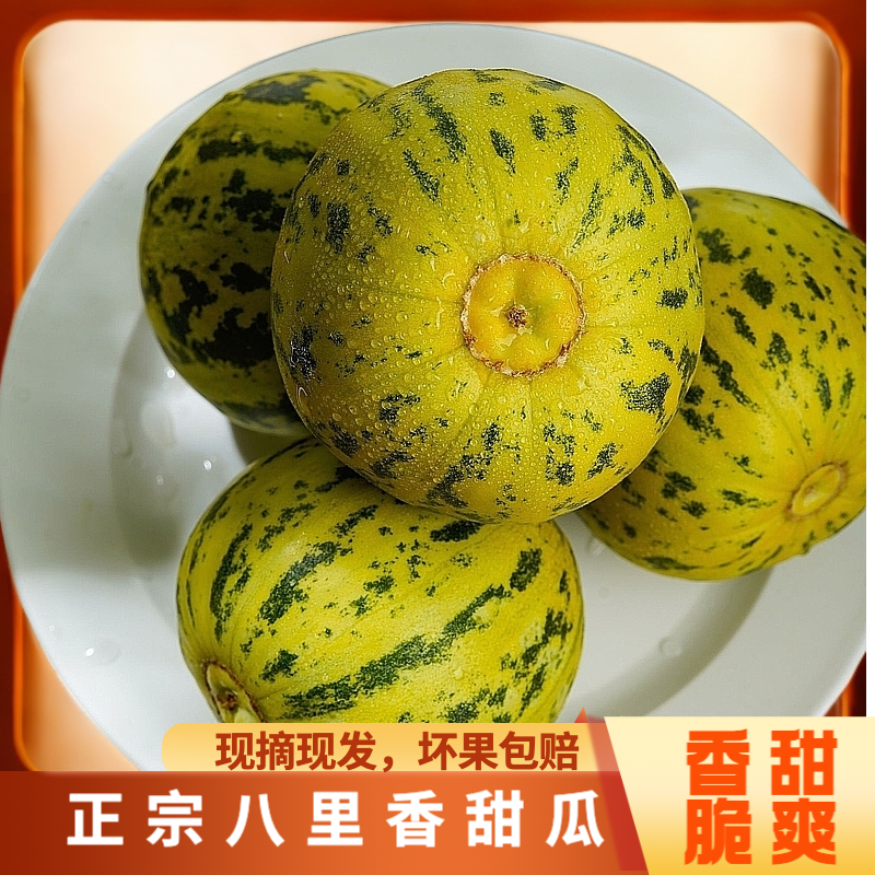 【现摘现发】正宗八里香香瓜脆甜多汁甜瓜新鲜现摘应季时令水果商品图