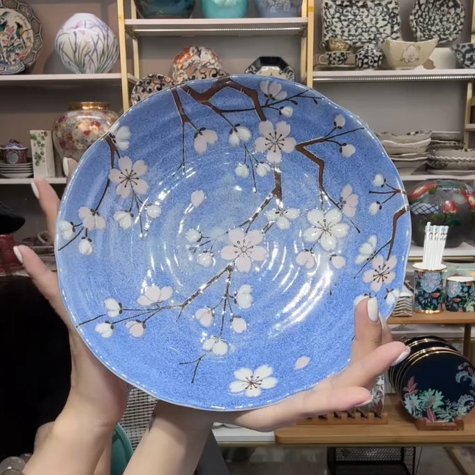 【2支】日本进口美浓烧富士樱深盘22cm