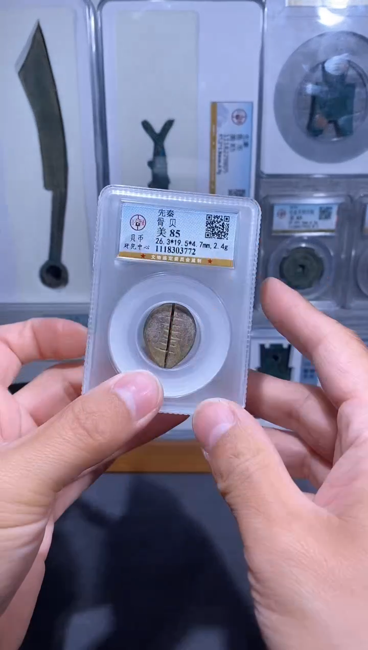 【闪购商品】铜品泉收藏   先秦骨贝币