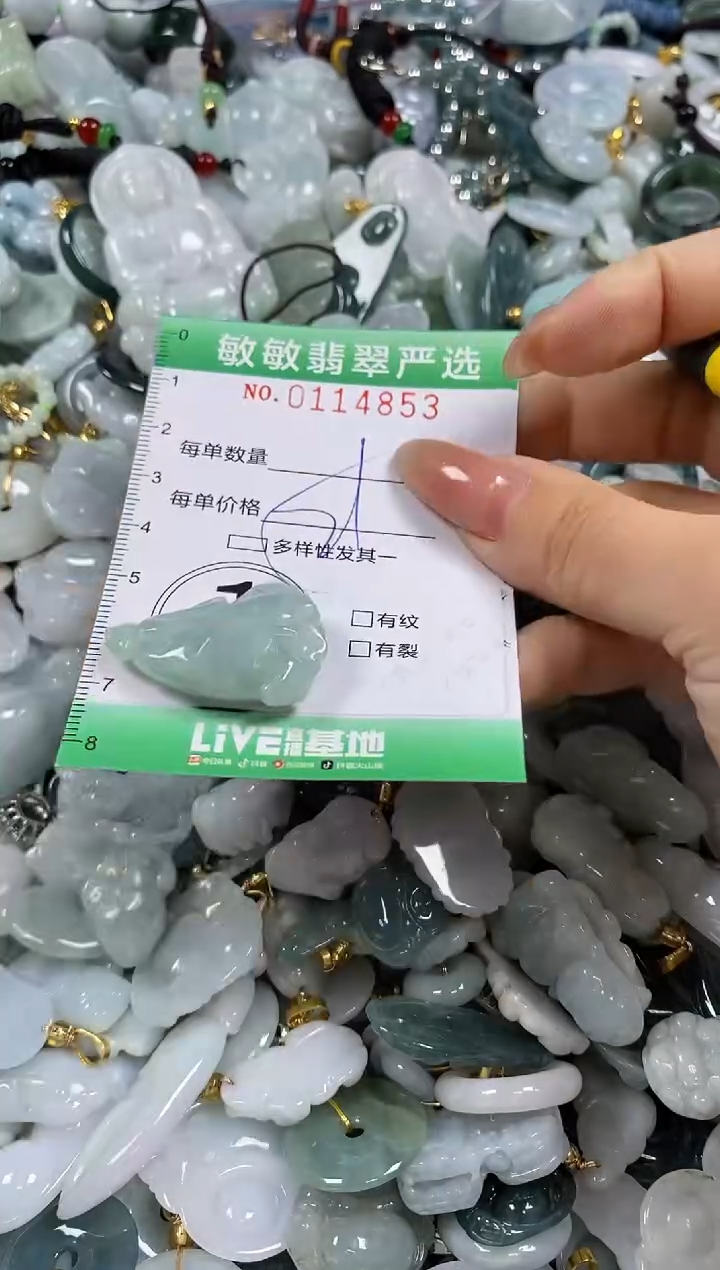 【闪购商品】翡翠颈饰未镶嵌闪购0114853