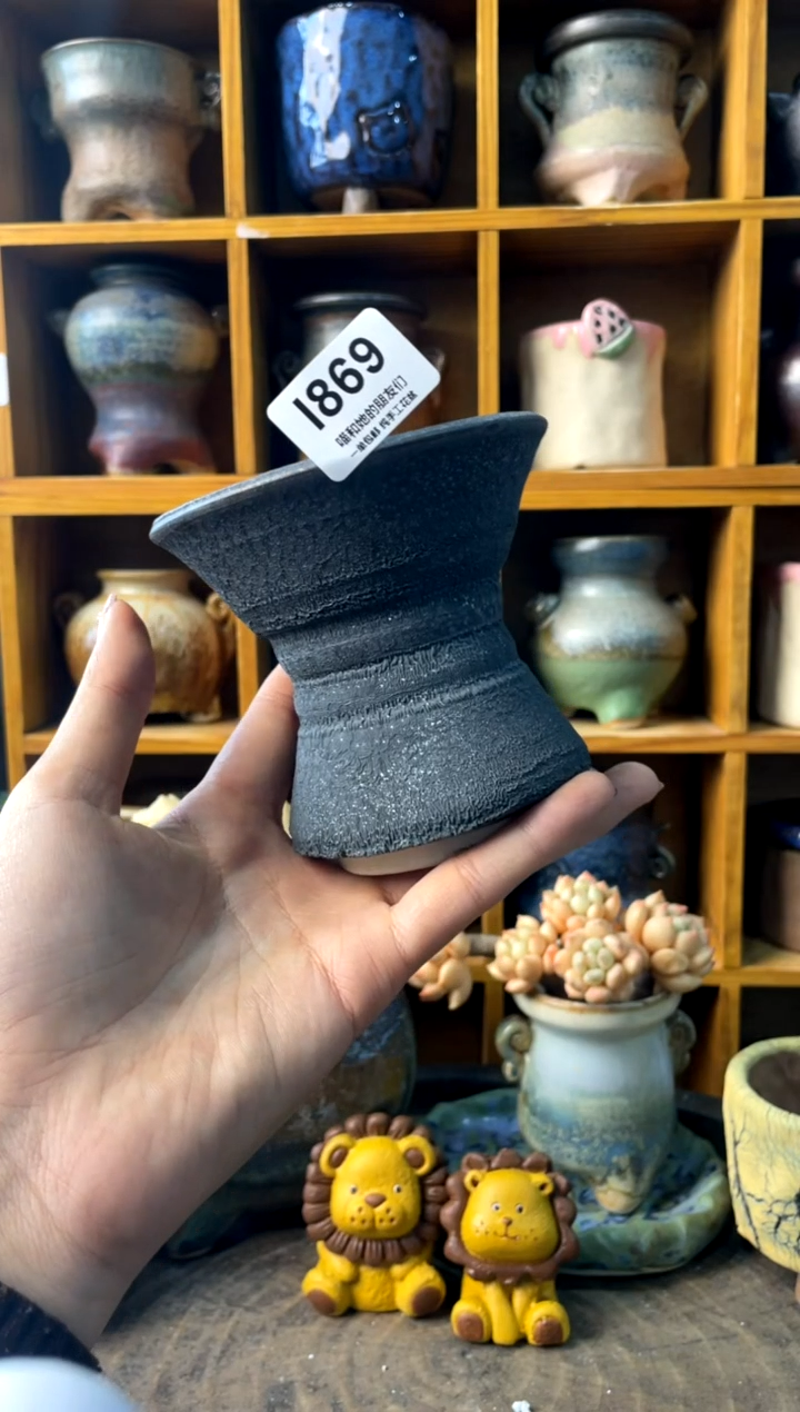 869内口9【多肉花盆多肉盆】