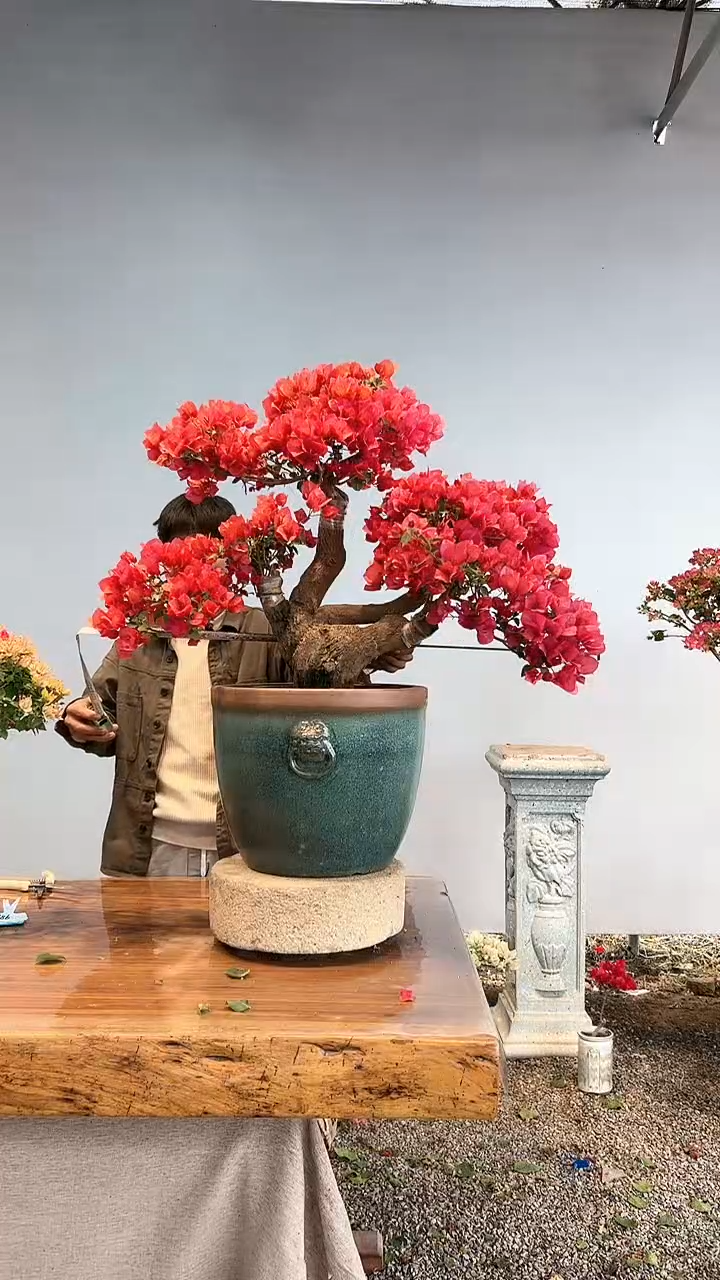 【闪购商品】aa907