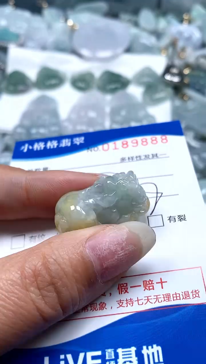 【闪购商品】翡翠颈饰未镶嵌闪购商品0189888