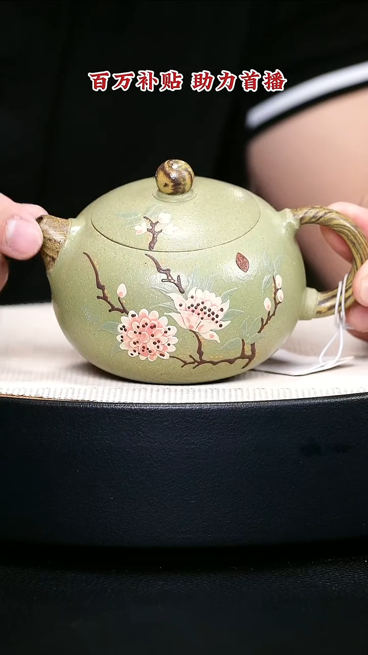 茶壶紫砂宜兴紫砂14