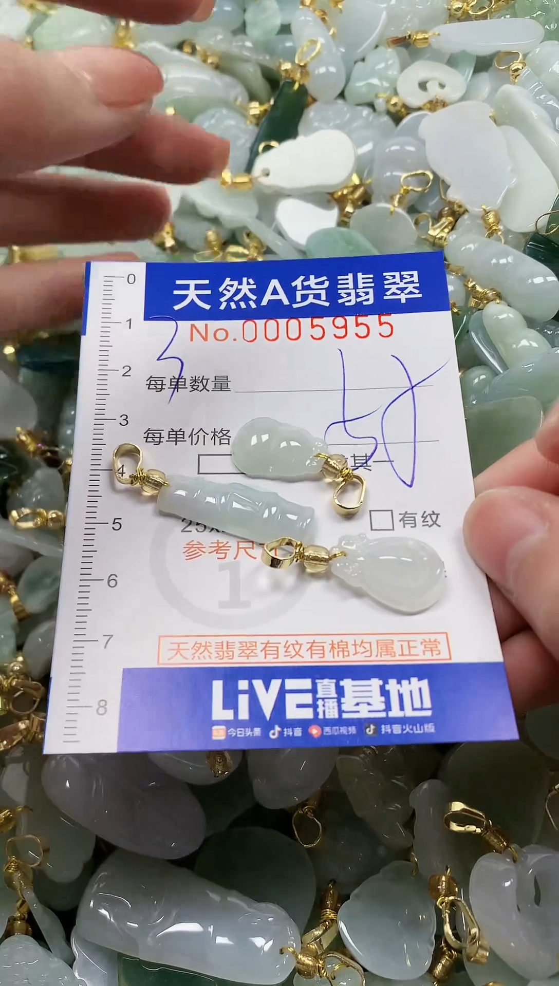 颈饰未镶嵌翡翠纯天然a货翡翠